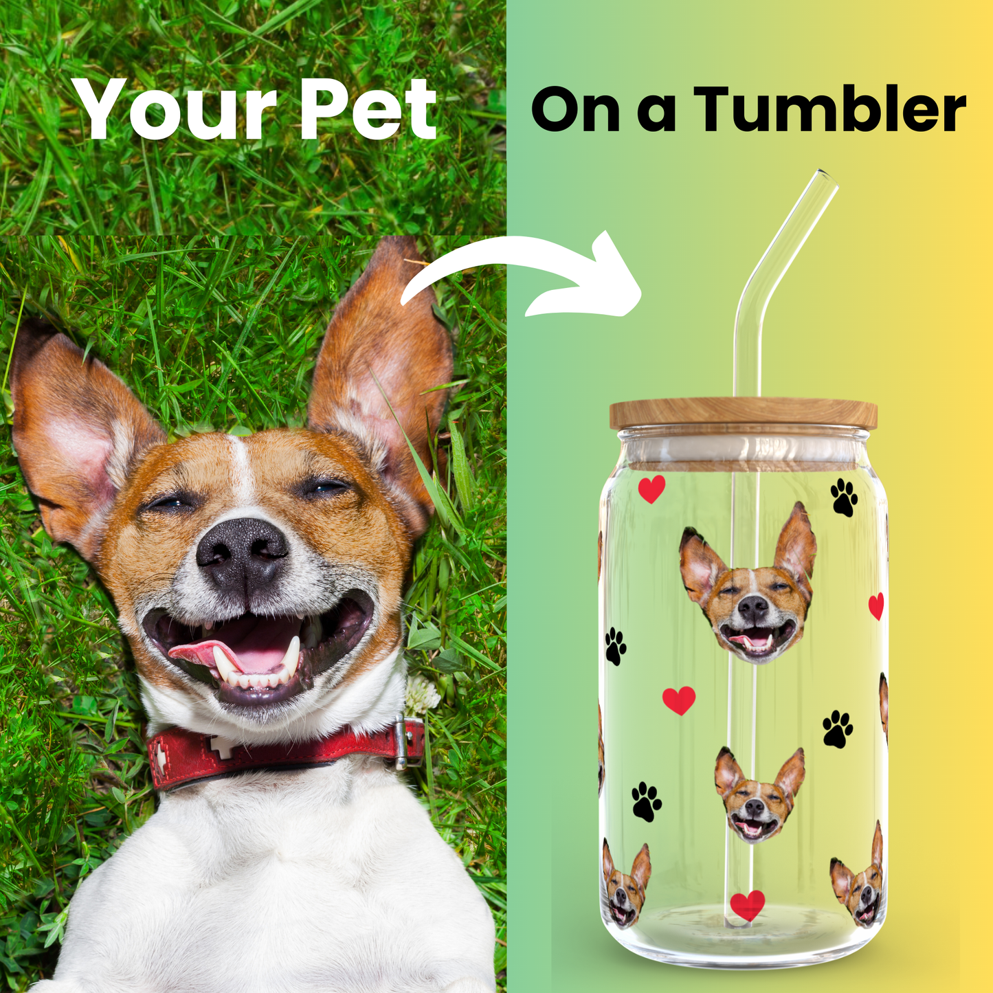 Your Pet’s Face on a Glass Tumbler