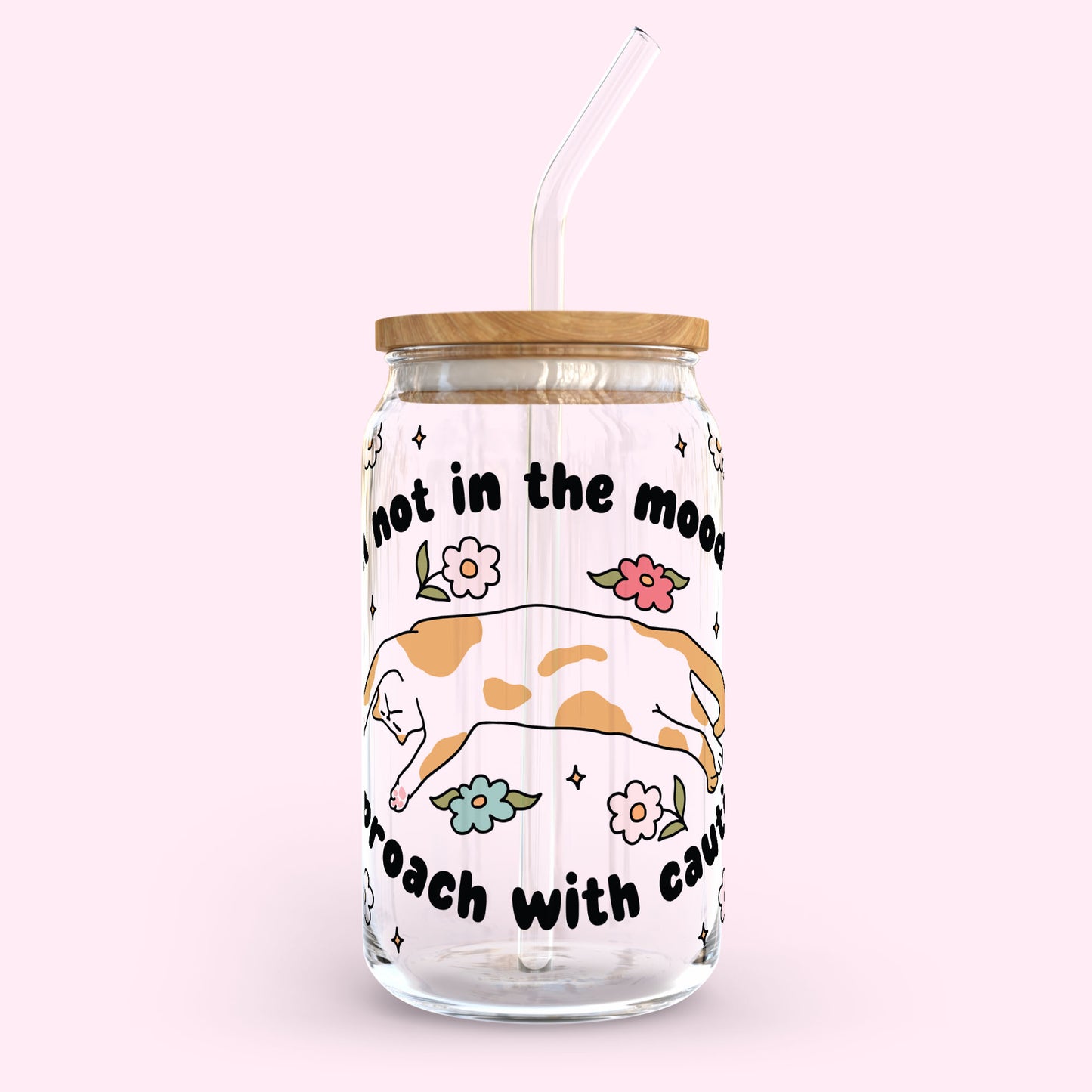 16oz Glass Tumbler - I'm not in the mood, approach with caution