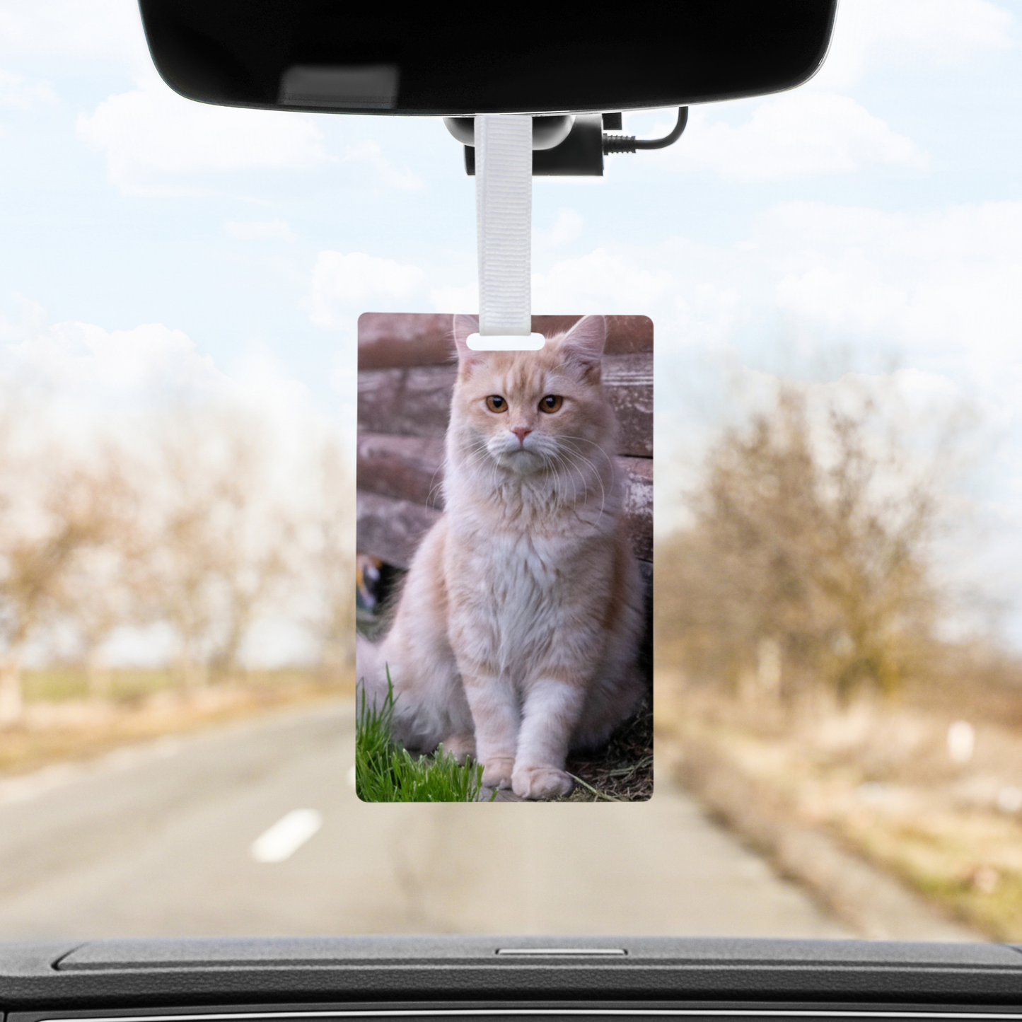 Custom Photo Air Freshener