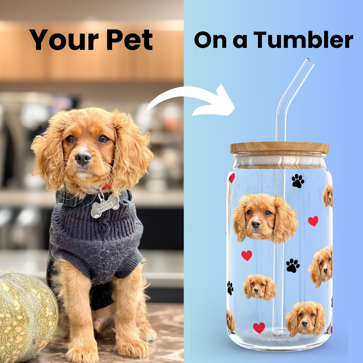 Your Pet’s Face on a Glass Tumbler